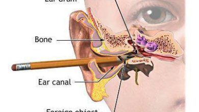 1391690 624773187546118 388463555 n