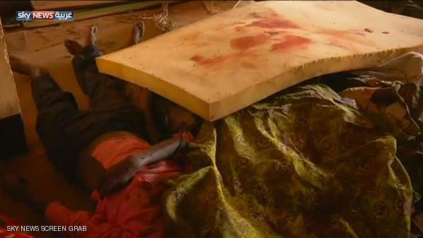 تحقيق بـ"جرائم حرب" بإفريقيا الوسطى 1 533345