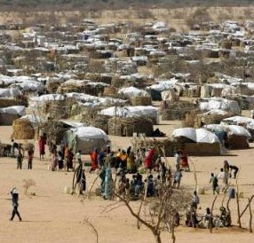 IDPP in Darfur
