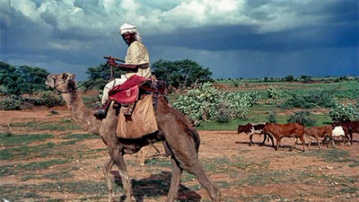 سقوط (17) قتيلاً في معارك بين قبيلتي الحمر والمعاليا soudan hamr tribu