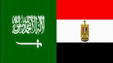 العلاقات المصرية السعودية 25 09 2014 27137130241 294881