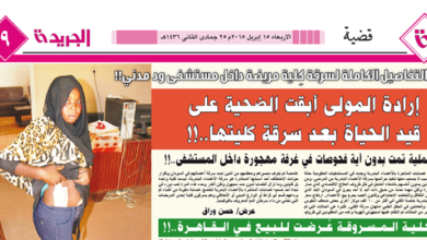 11157582 896627260395739 1600547059005158240 o