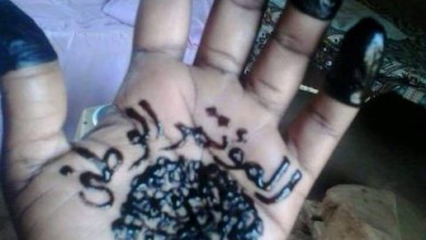 11133730 907677925939959 5413022304272846178 n