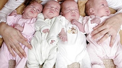 436x328 49841 267116