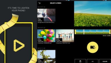 VideoDieter2Droid 598x337