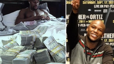 ea16d5b0 7c2e 4981 9ff0 a0e1dfb67f09