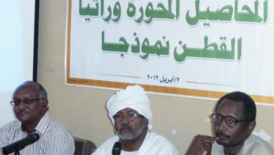 زيت بذرة القطن المحور وراثياً....خطر يهدد السودانيين و نيابة المستهلك تُخير بين تحريك البلاغ أو إغلاق النيابة د. جلال الدين: أشك في جودة الزيوت والسمية عالية ttttttttttttttttttt222222