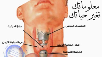 11033220 875287632536113 1565371530 o