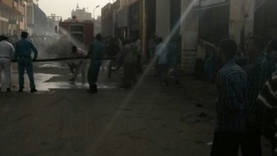 11311887 10153044850288335 1248108281 n