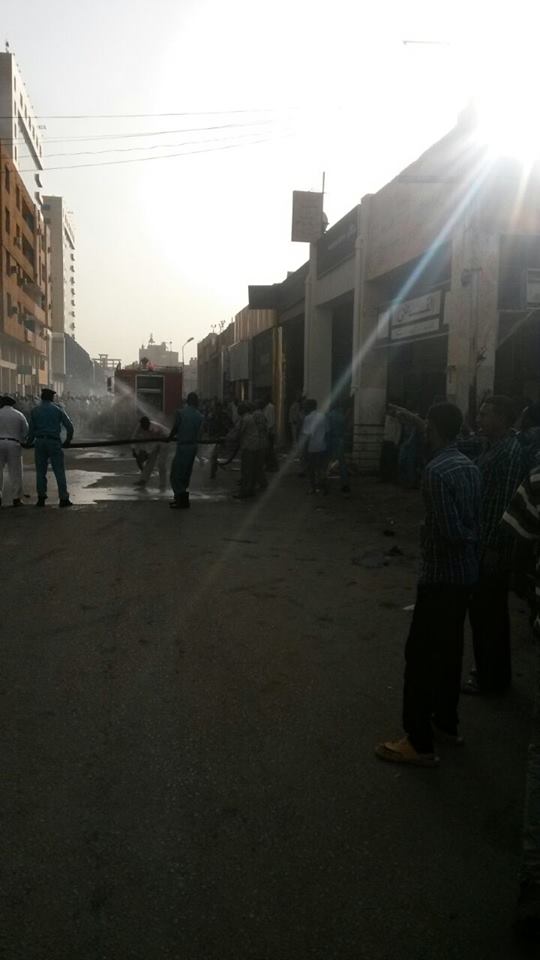 11311887 10153044850288335 1248108281 n