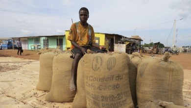 5588ee5ac46188464e8b45c0