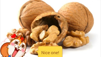 عين الجمل تقلل من خطر الوفاة مبكراً TMPDOODLE1434084595715
