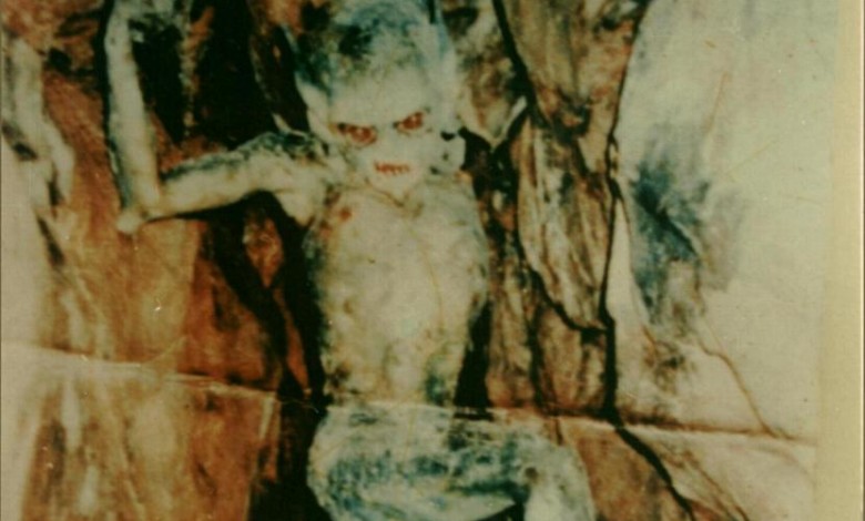 بالصورة .. جني " مسلم " ذو امتيازات خلابة للبيع attachment