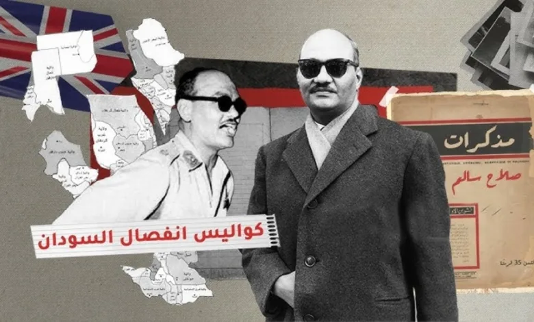 مذكرات صلاح سالم