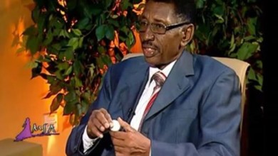 11755145 986686891362237 2252012924374529691 n