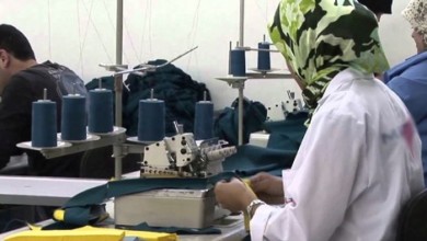 tangerusine 515430273