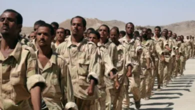 الجيش اليمني