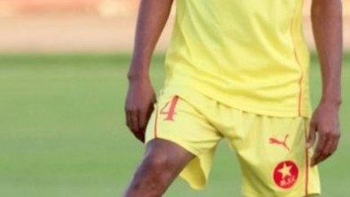 بكري المدينة