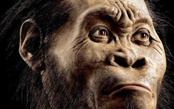 شبيه بالبشر