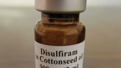 تشمل تصنيع الدواء و زراعة الأعضاء .. السودان يوقع مذكرة تفاهم مع إيران 564c47cbc461884c5d8b45b3