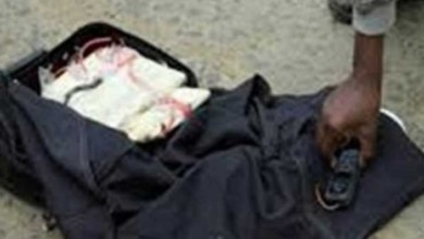 7eca7d0470e939ce18cd805f0ca8ae95 590x373