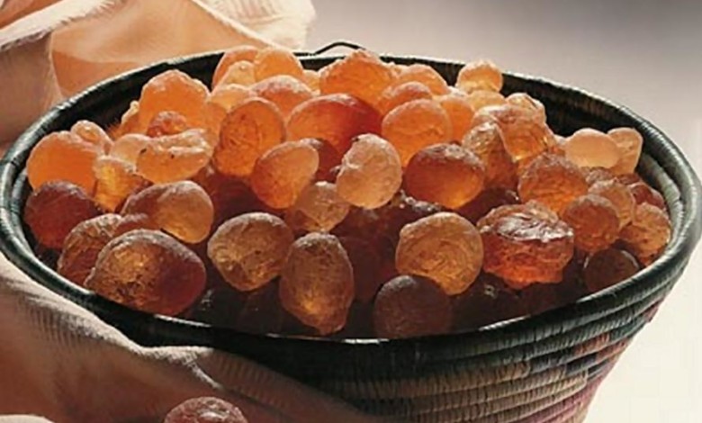 السودان يشارك باجتماع الصمغ العربي بباريس gum arabic01
