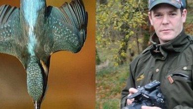 n KINGFISHER large570