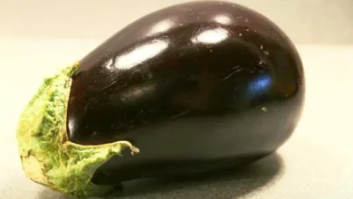 هل تناول الباذنجان نيئاً يقلل من الكوليسترول؟.. "النمر" يكشف الحقيقة الباذنجانة والمرأة