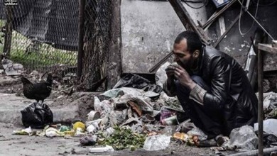 يأكل من النفايات