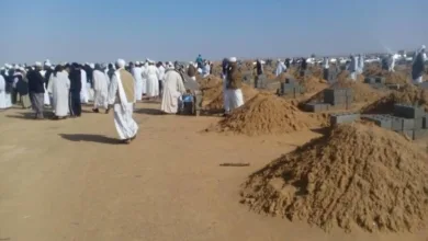 العثور على جثمان الشيخ ود كرجة و إعادته إلى ضريحه 12359945 199433560399921 799280159161286173 n