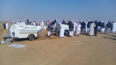 12369260 199433323733278 4439834520946594630 n