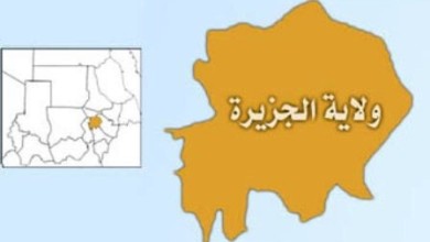 السفر بالقطار في السودان حلم يتحقق.. استئناف رحلات السكة حديد لولاية الجزيرة 2016 1323182740