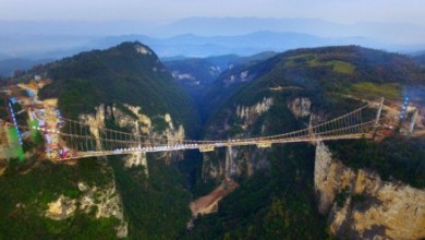 2F04DE9700000578 3344133 image a 23 1449139944508 438x315 722566850