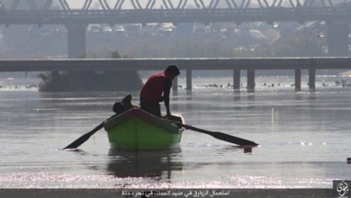 السعودية تحظر استيراد أسماك "البلطي" و"البوري" من مصر 3910527077