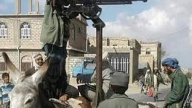 صورة حمار يحمل رشاشاً في جبهة القتال اليمنية 658