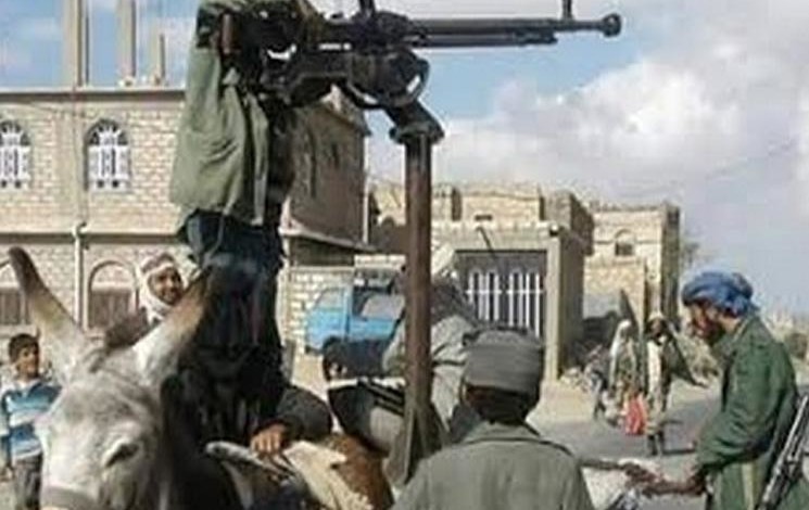 صورة حمار يحمل رشاشاً في جبهة القتال اليمنية 658