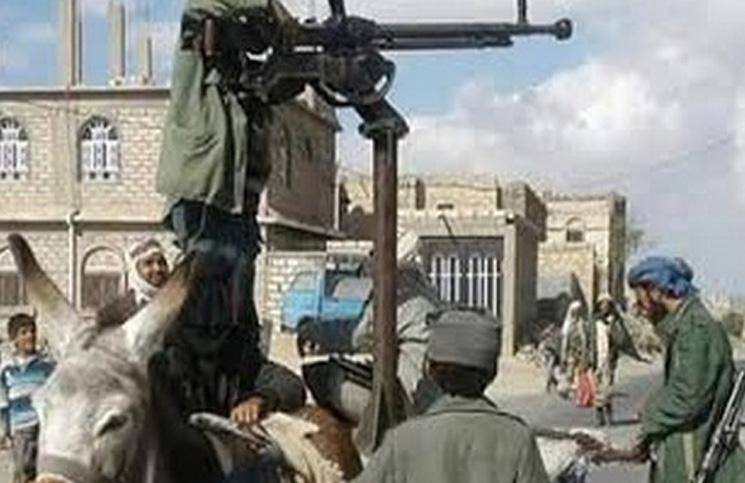 صورة حمار يحمل رشاشاً في جبهة القتال اليمنية 658
