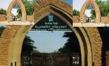 تفاصيل مثيرة ..القبض على شبكة تزور اختام وزارات سيادية تزور شهادات جامعية وقسائم زواج ahliaa 872460057