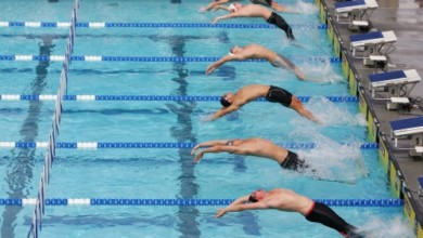 bb507cdedd345cd73c8ffbe1549b51c6