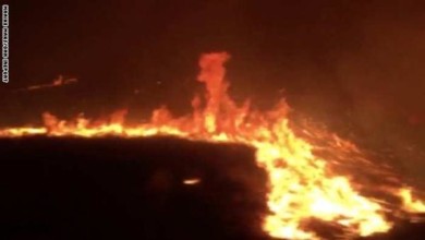 فيديو.. لحظات مرعبة لعائلة تقود سيارتها وسط الحرائق حرئق