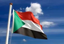 المعادن