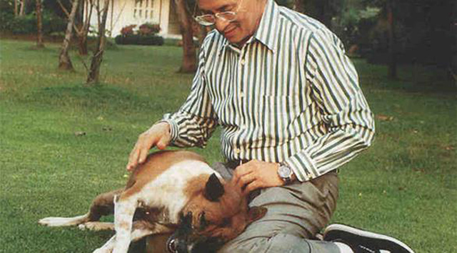 كلب يبتلع عصا تبلغ نصف طول جسمه كلب