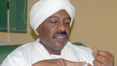 محمد سيد احمد