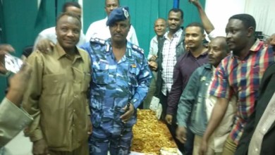 12483331 1001653796575961 1747935574 n