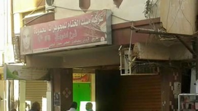 12523157 1243474848997882 1640676338814927505 n