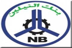 بنك النيلين