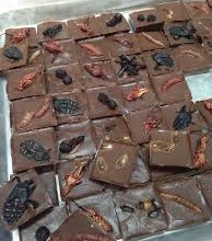 مطعم يقدم اصناف حلوي مزينه بالحشرات حلوي بالحشرات