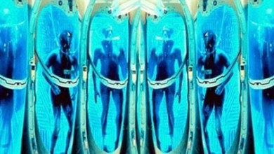 خدمة تجميد الموتي