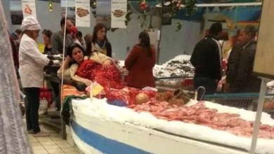 عروس البحر تساهم في علاج الأطفال ذوي الاحتياجات الخاصة في البرازيل عروس البحر