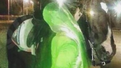 تقبيل الفرس يتسبب في طلاق